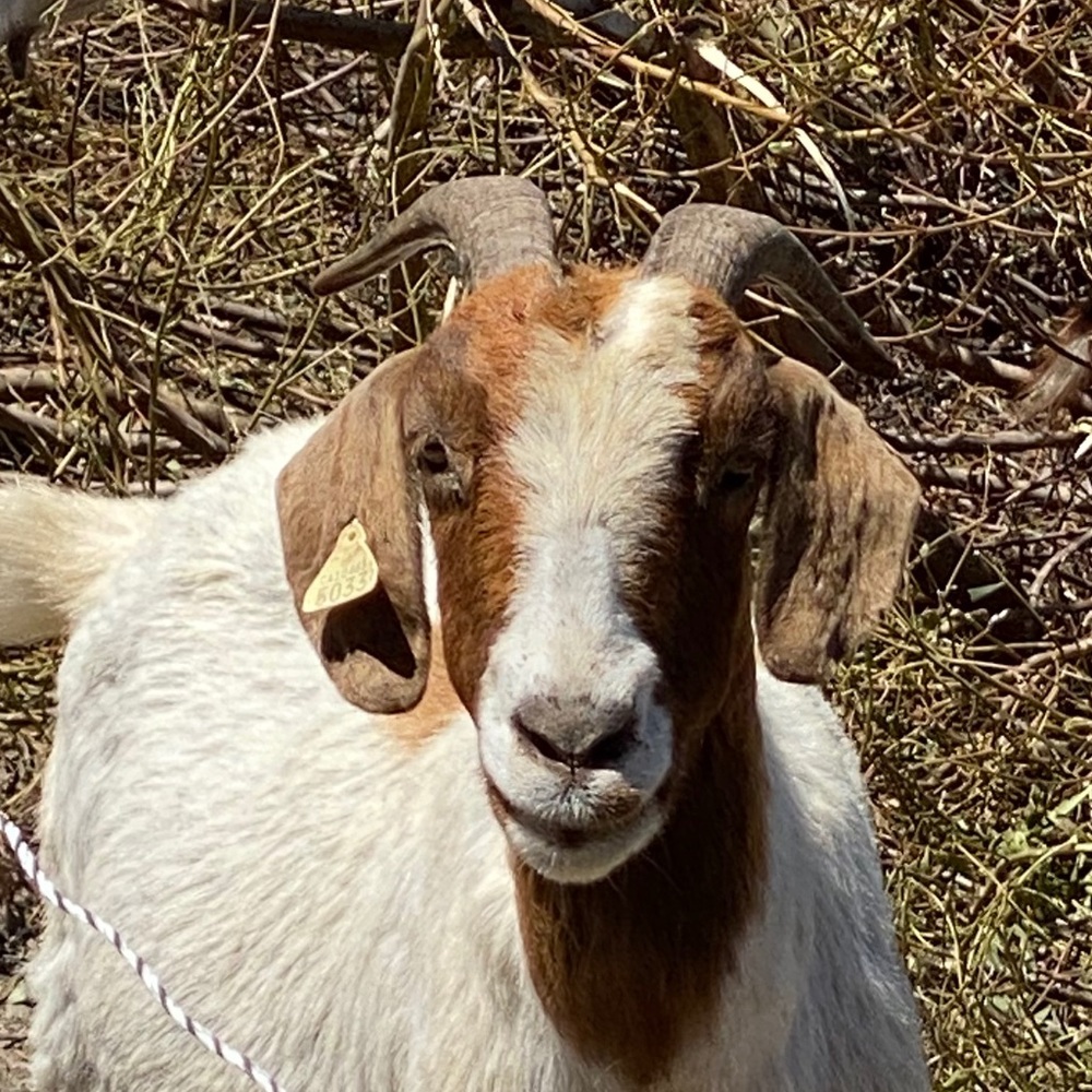 Meet your Posher, William